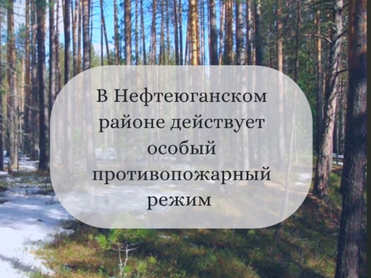 С 28 апреля по 12 мая на основании постановления администрации Нефтеюганского района в муниципалитете вводится особый противопожарный режим..