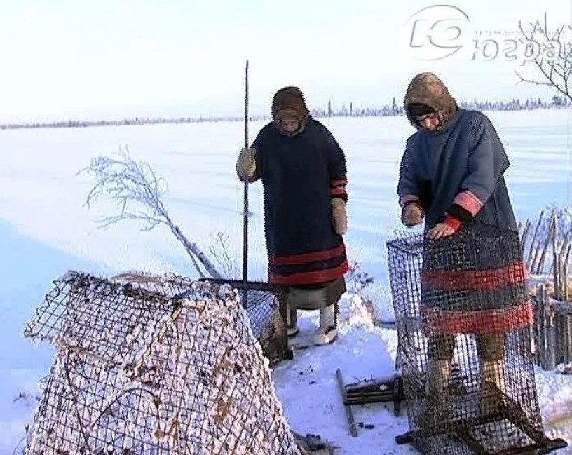 КОМИТЕТ  ПО ДЕЛАМ НАРОДОВ СЕВЕРА, ОХРАНЫ ОКРУЖАЮЩЕЙ СРЕДЫ И ВОДНЫХ РЕСУРСОВ ИНФОРМИРУЕТ.